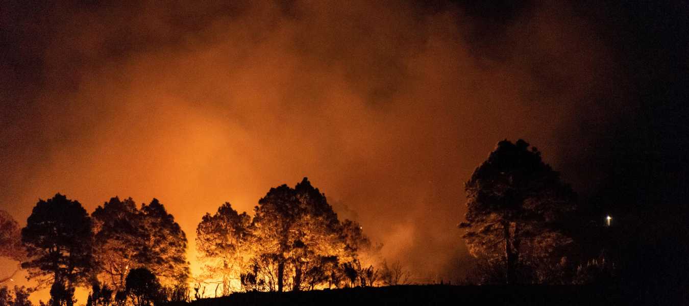 Featured Image 21435