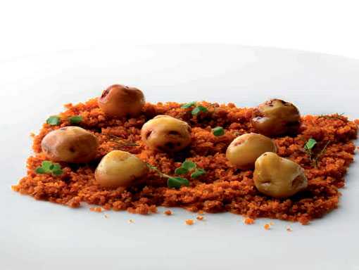 Featured Image 21513