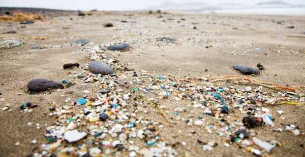 Featured Image 21669