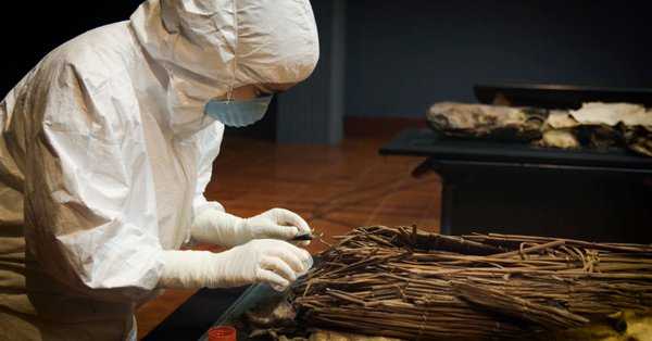 Featured Image 22309