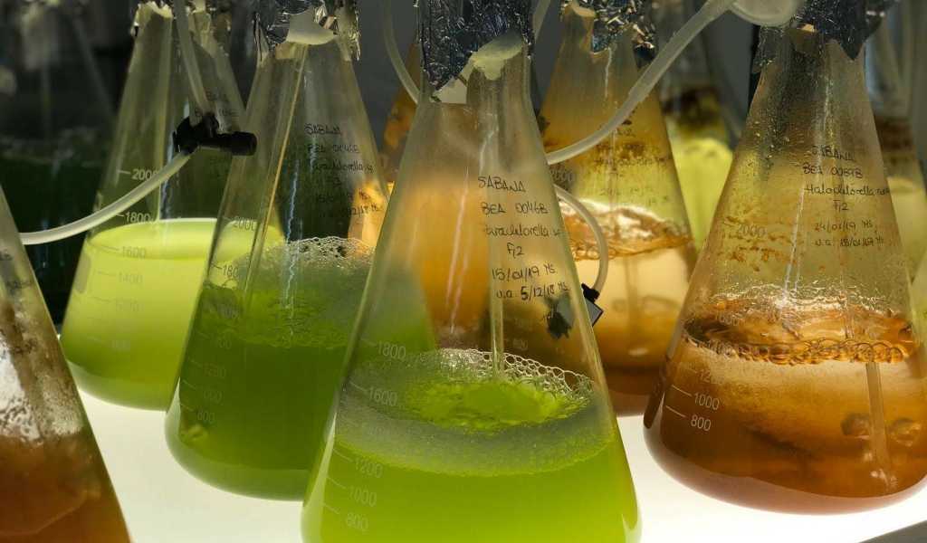 Featured Image 22385