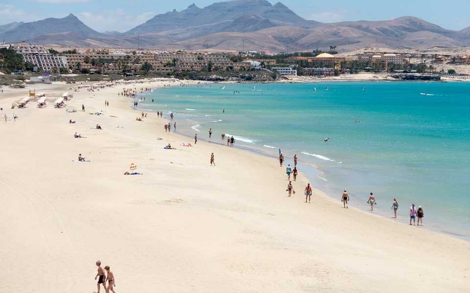 Featured Image 22443