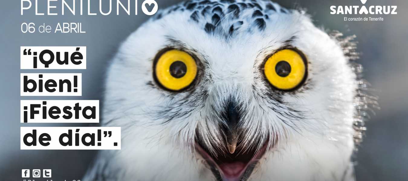 Featured Image 22653