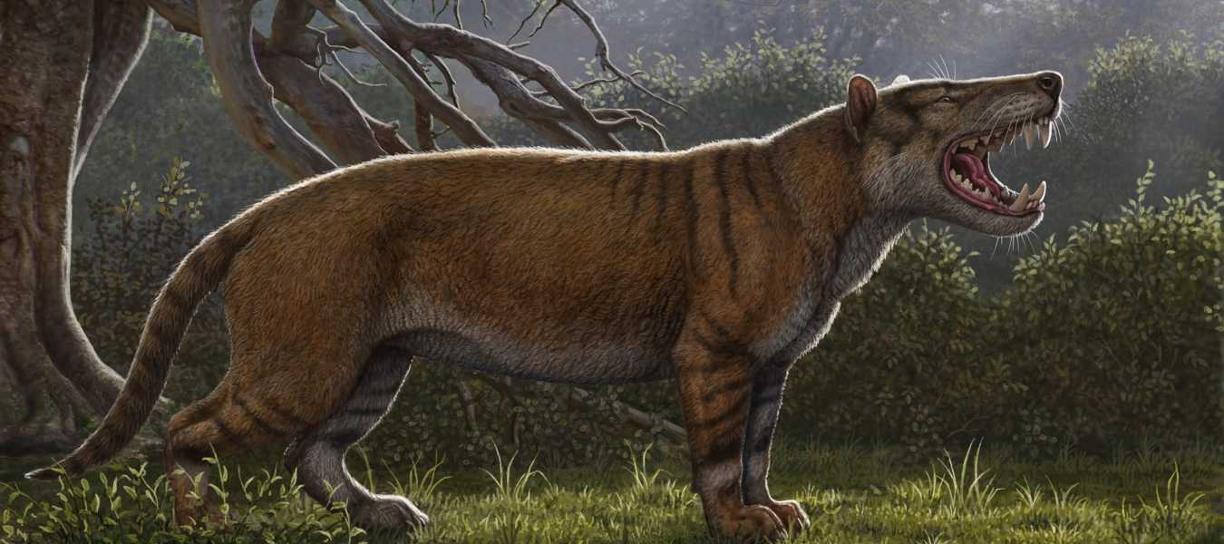 Featured Image 23139