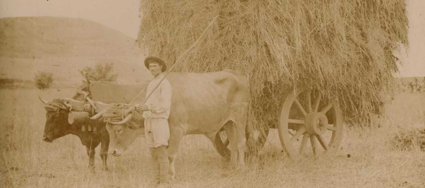 Featured Image 23197