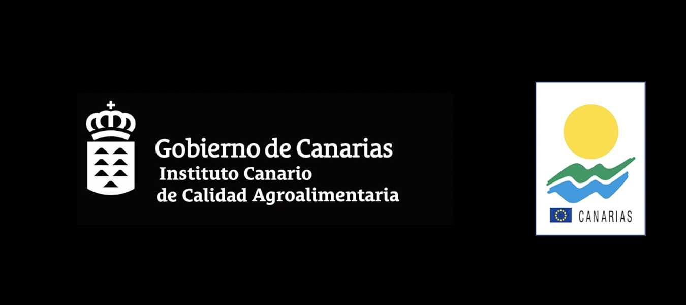 Featured Image 23443