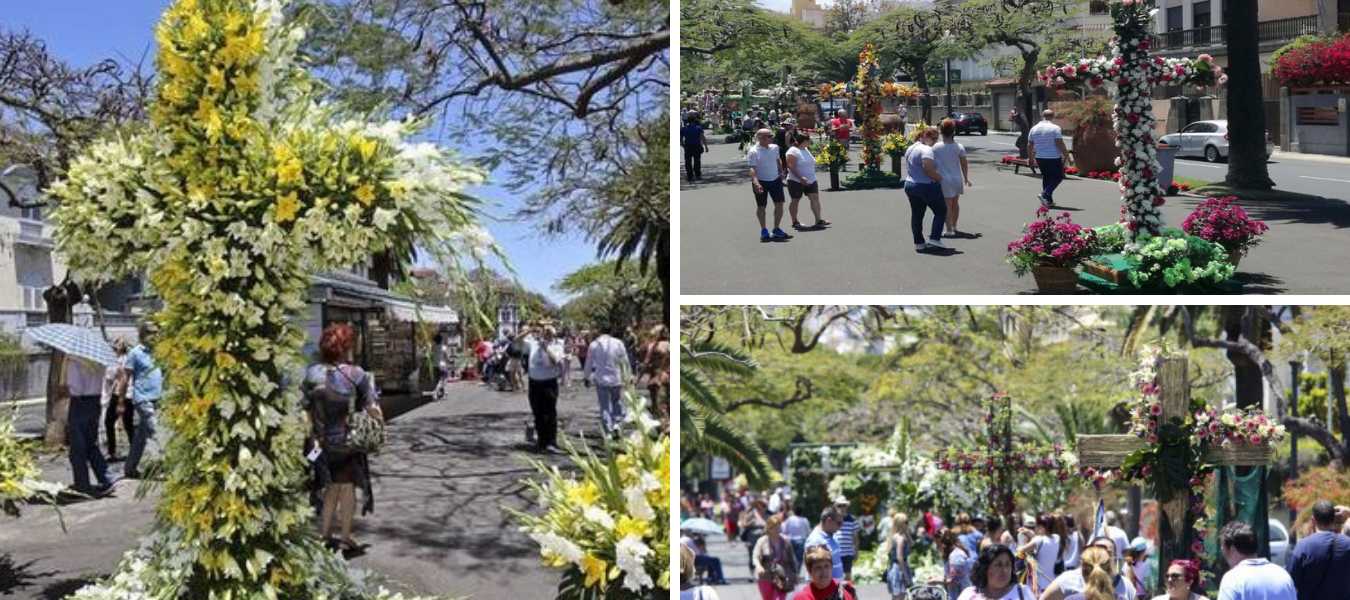 Featured Image 23505