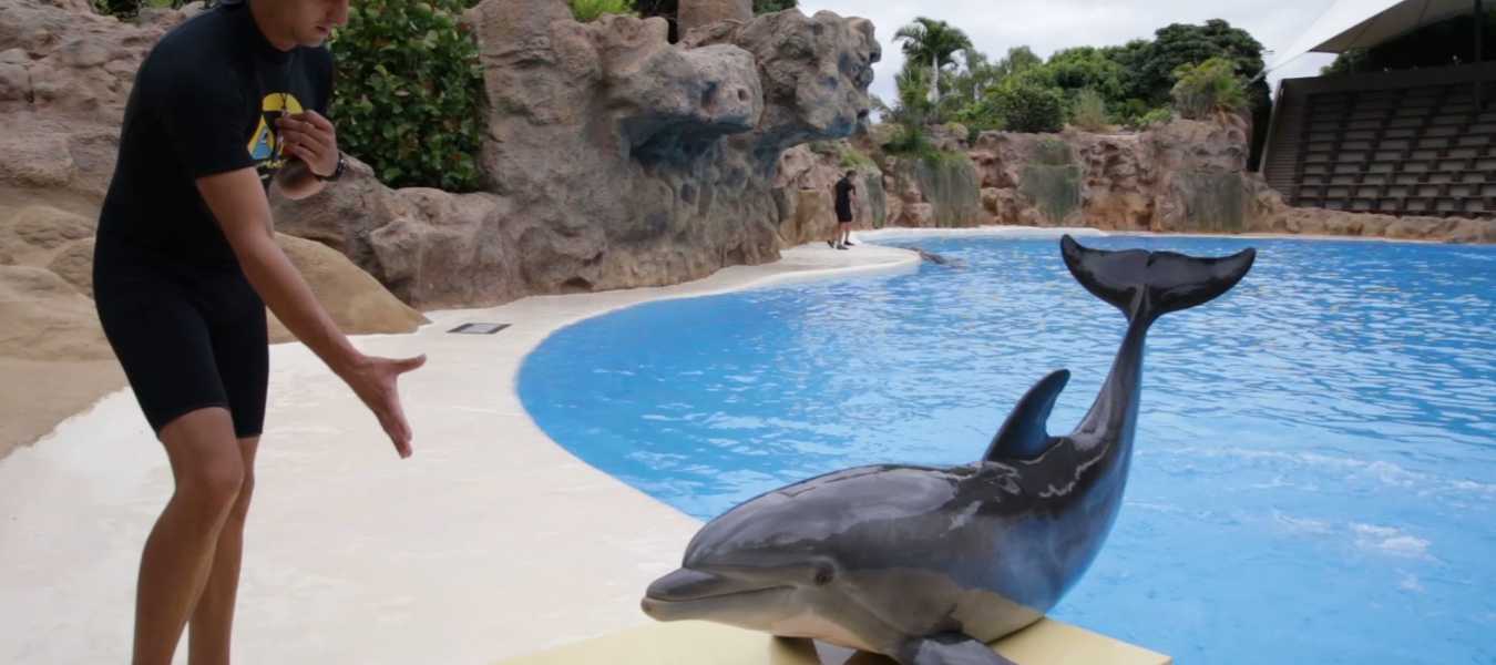 Featured Image 23793