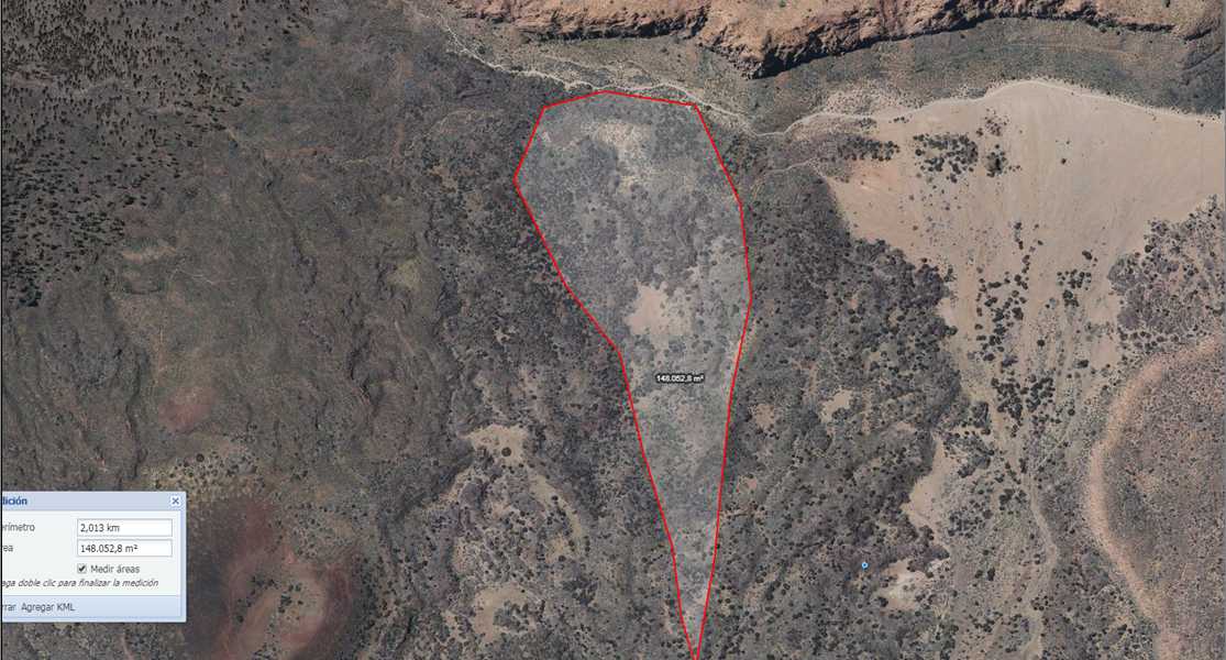 Featured Image 23933