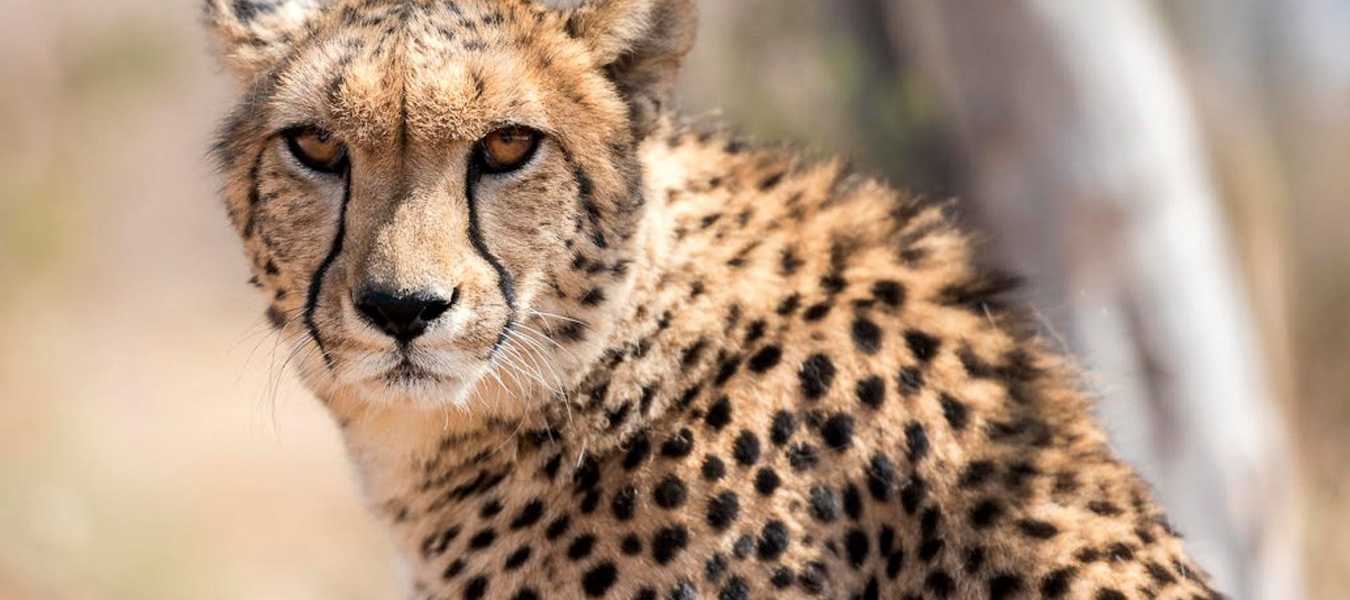 Featured Image 23949