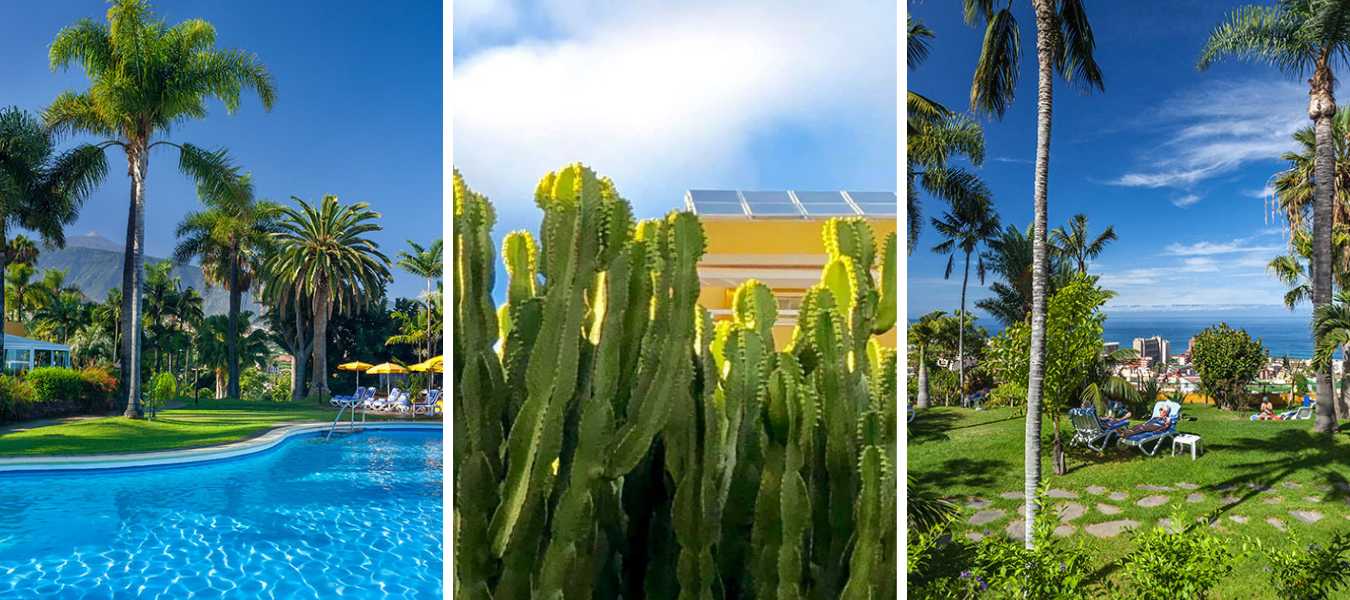 Featured Image 24329