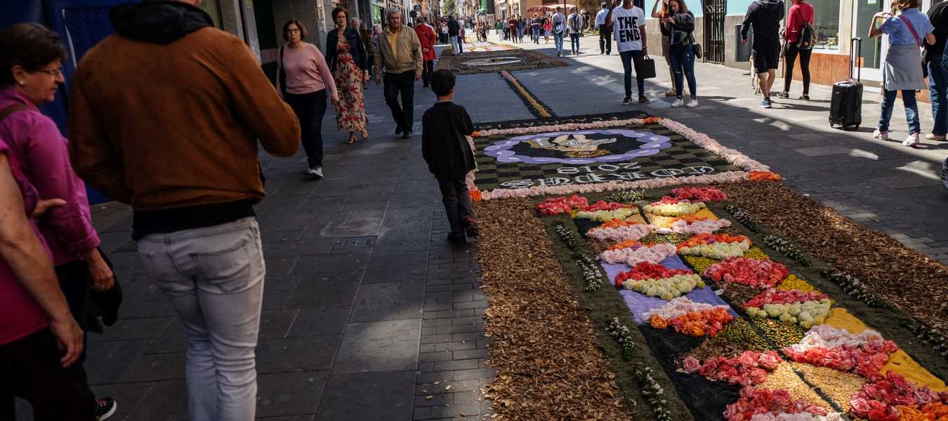 Featured Image 24335