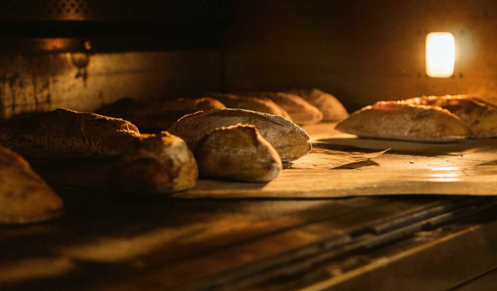 Featured Image 24515