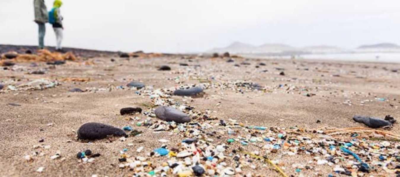 Featured Image 24665