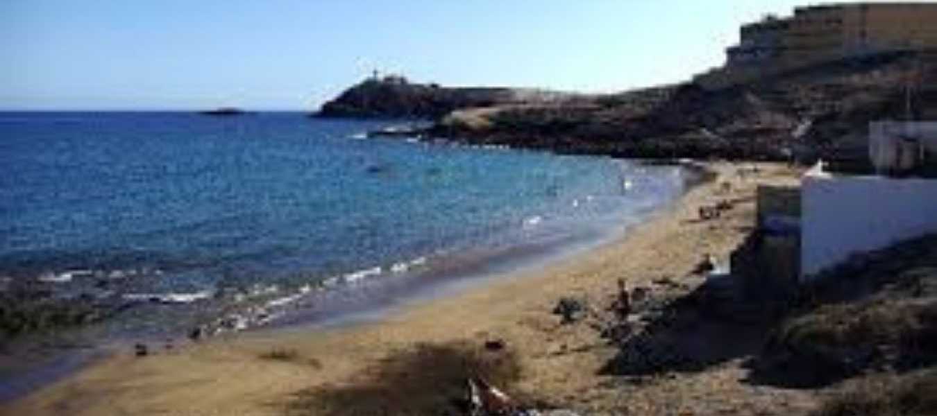 Featured Image 24745