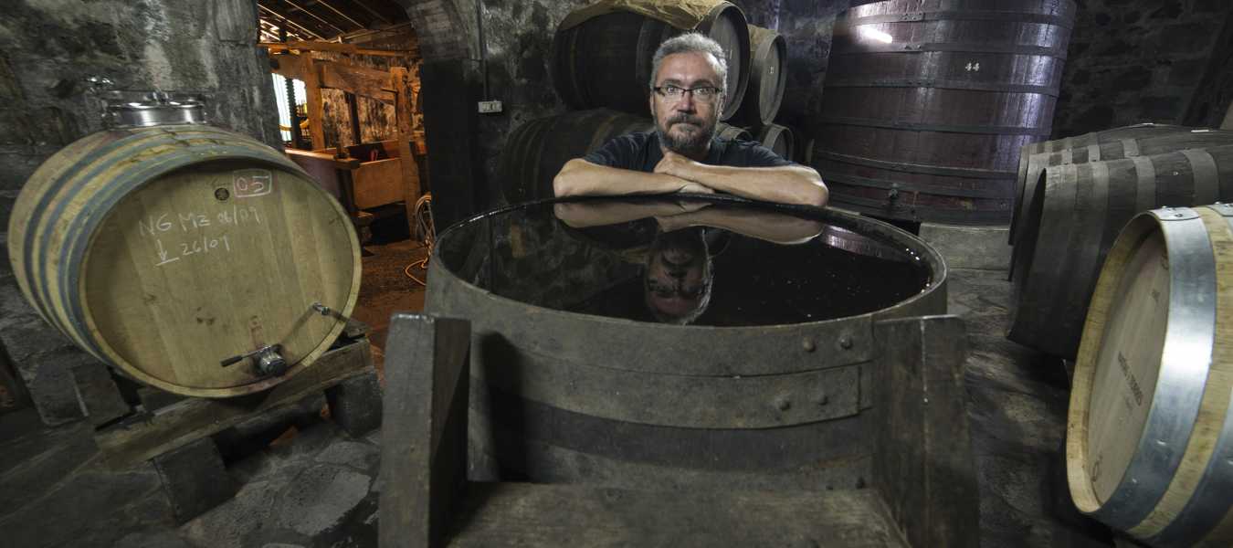 Featured Image 24785