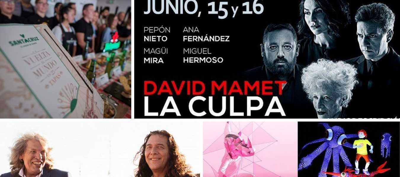 Featured Image 24869