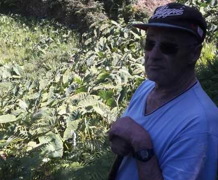 Featured Image 24913