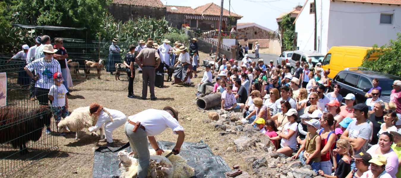 Featured Image 24981