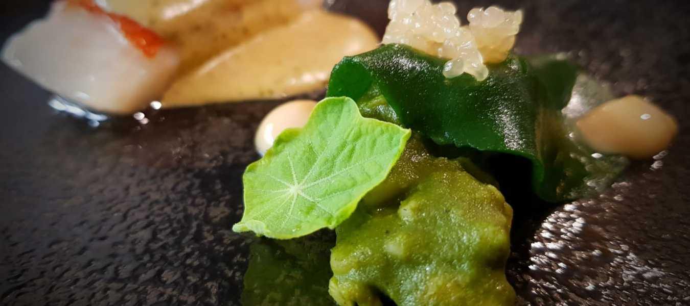 Featured Image 25001