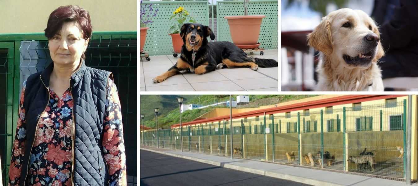 Featured Image 25319