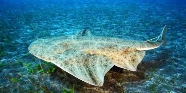 Featured Image 25375