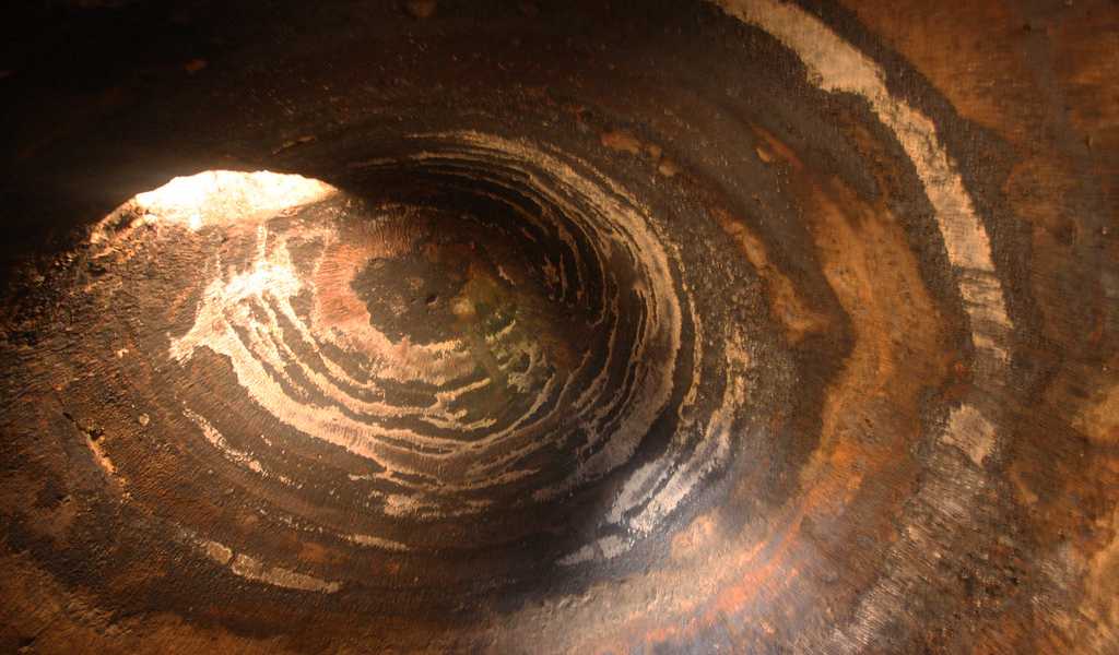 Featured Image 25587