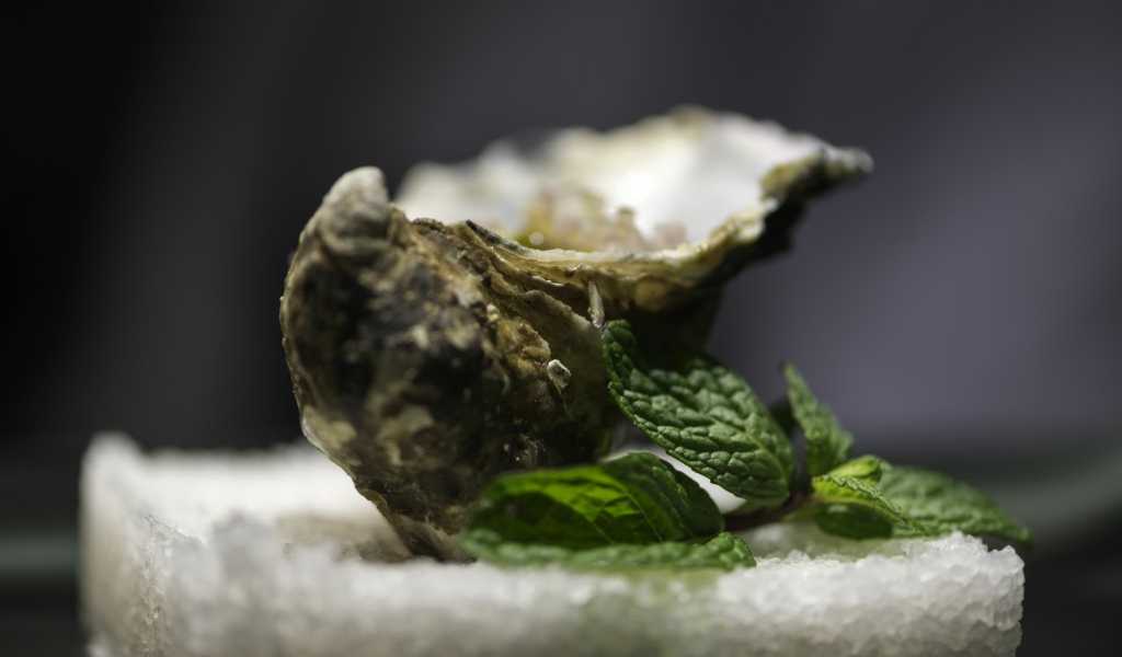 Featured Image 25767