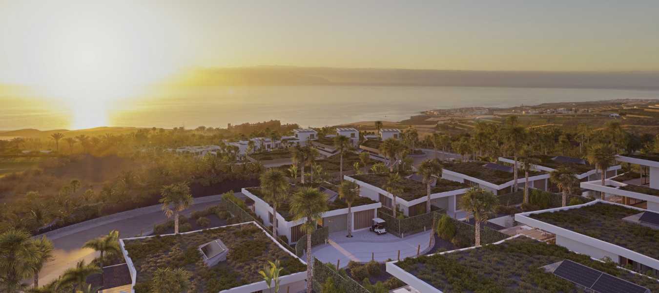 Featured Image 25821