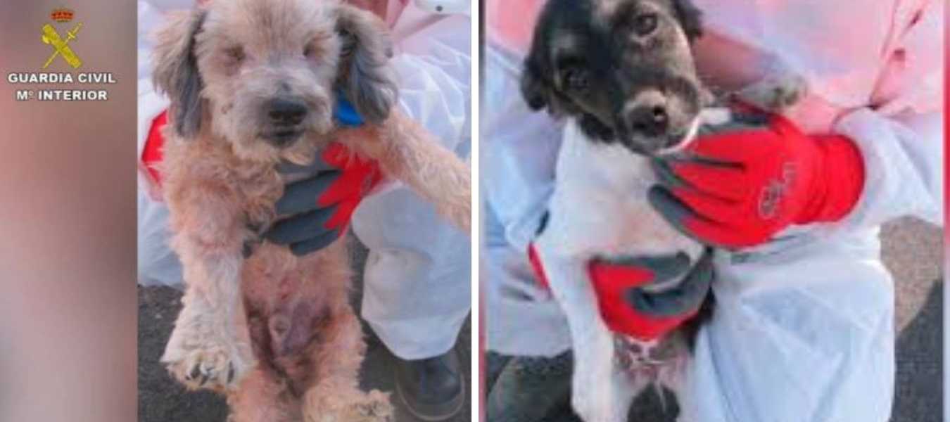 Featured Image 25827