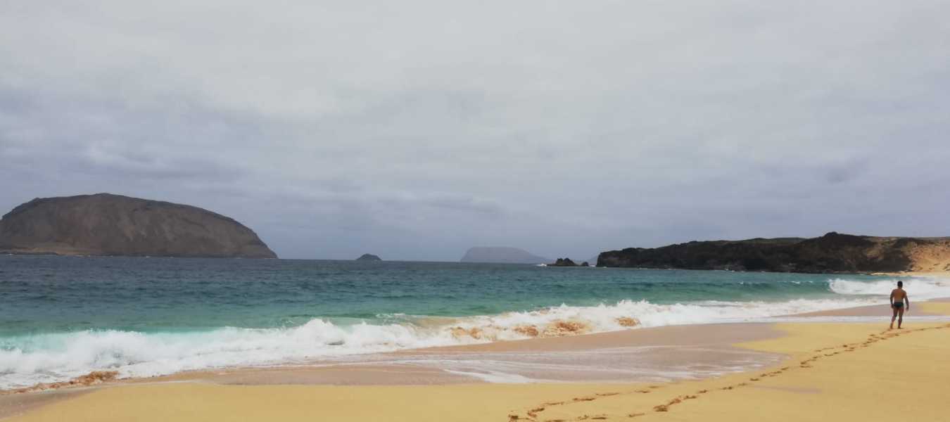 Featured Image 26271