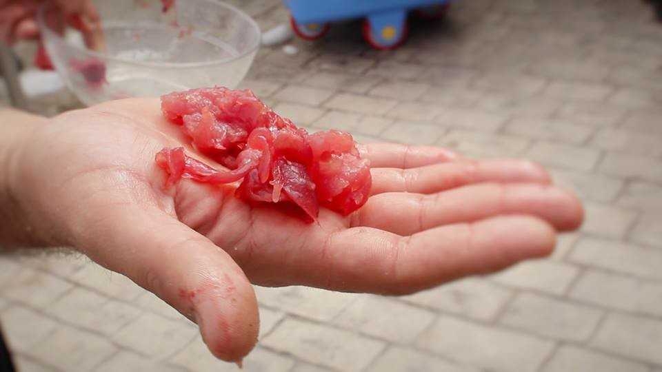 Featured Image 26289