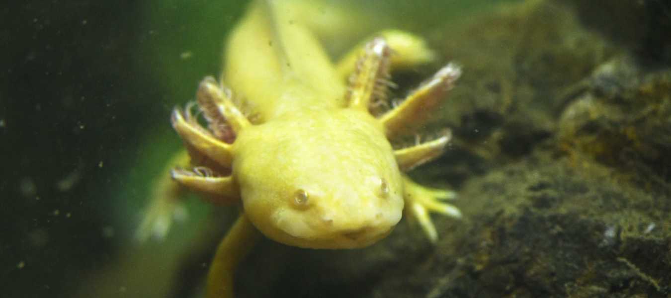 Featured Image 26425