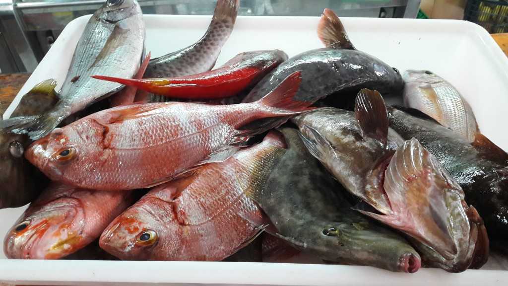 Featured Image 26643