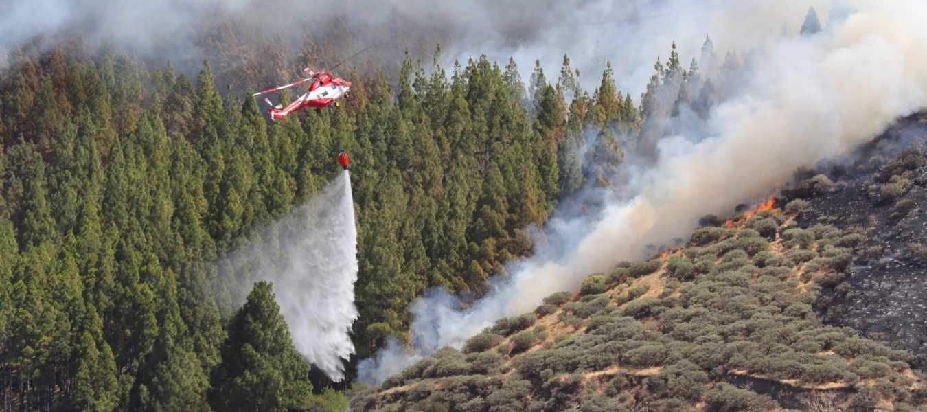 Featured Image 26665