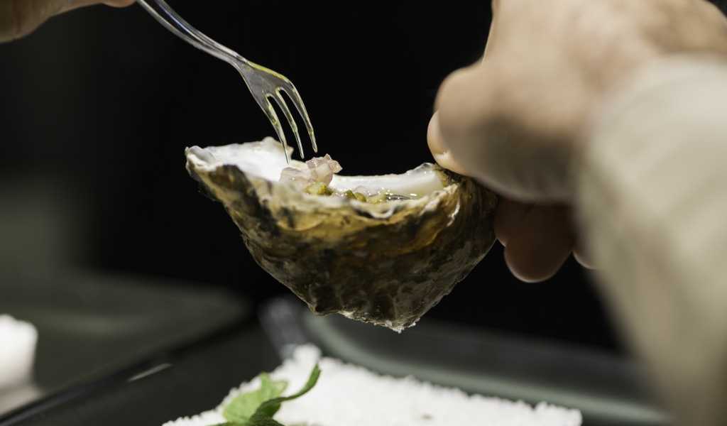 Featured Image 26815