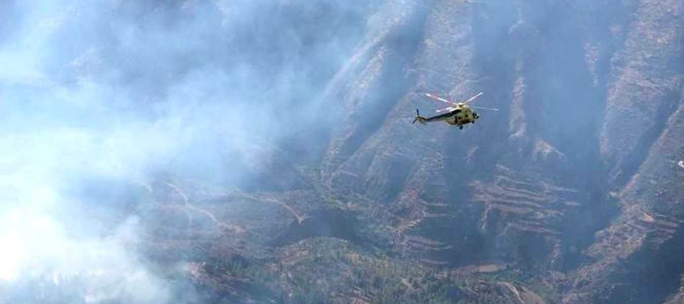 Featured Image 26891