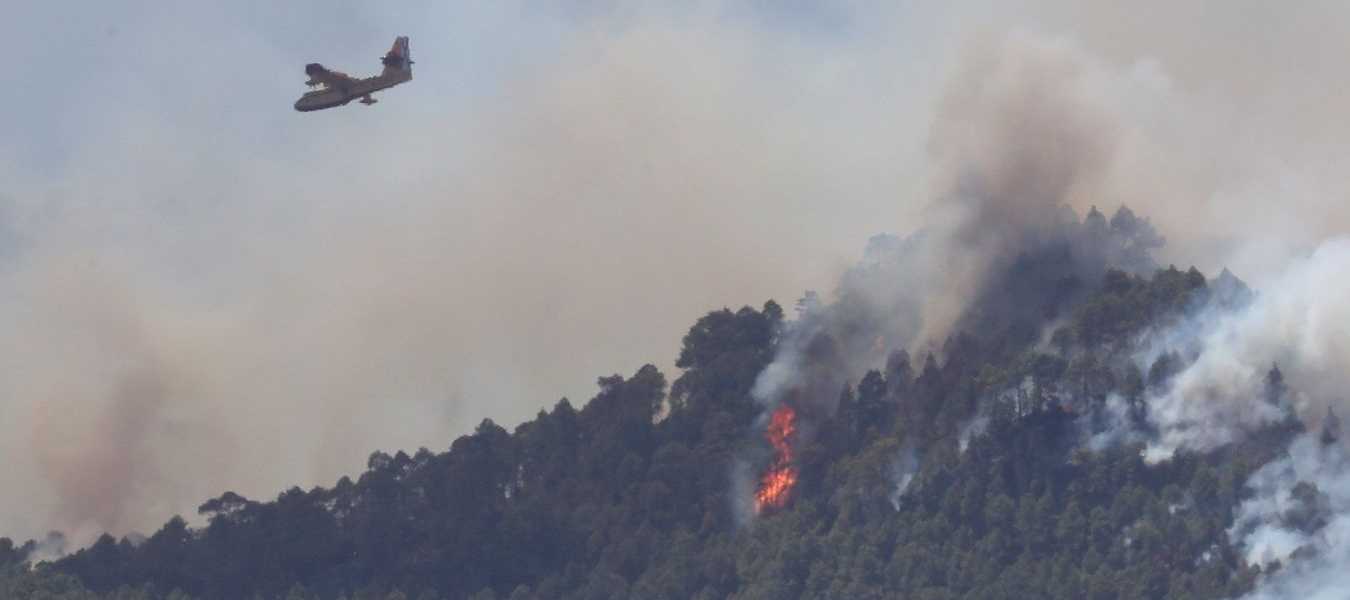 Featured Image 26895