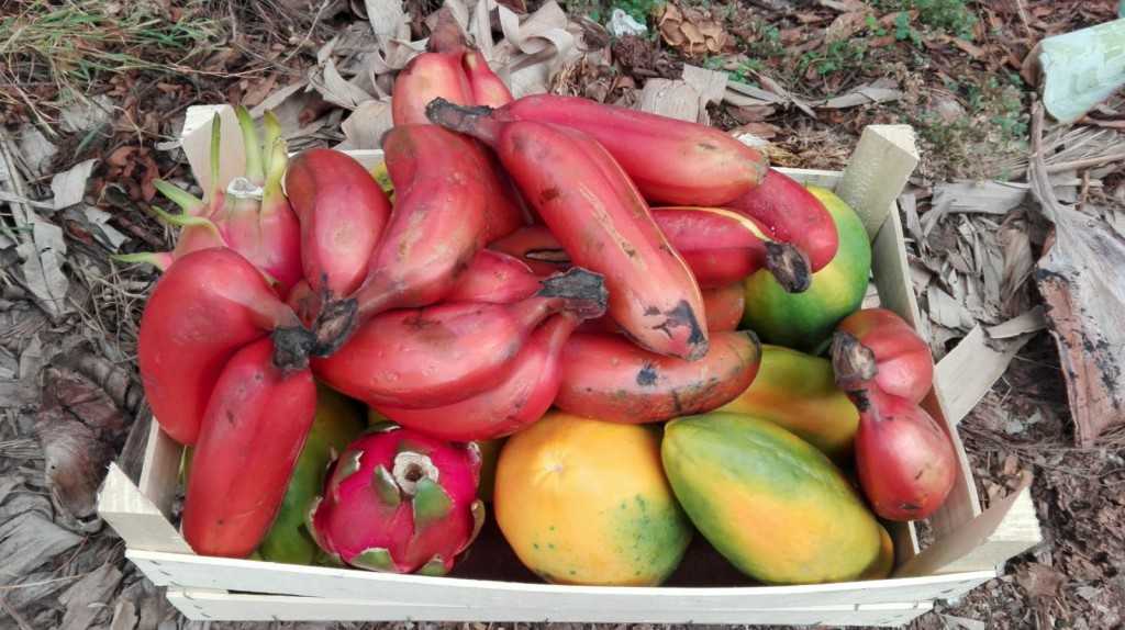 Featured Image 27493