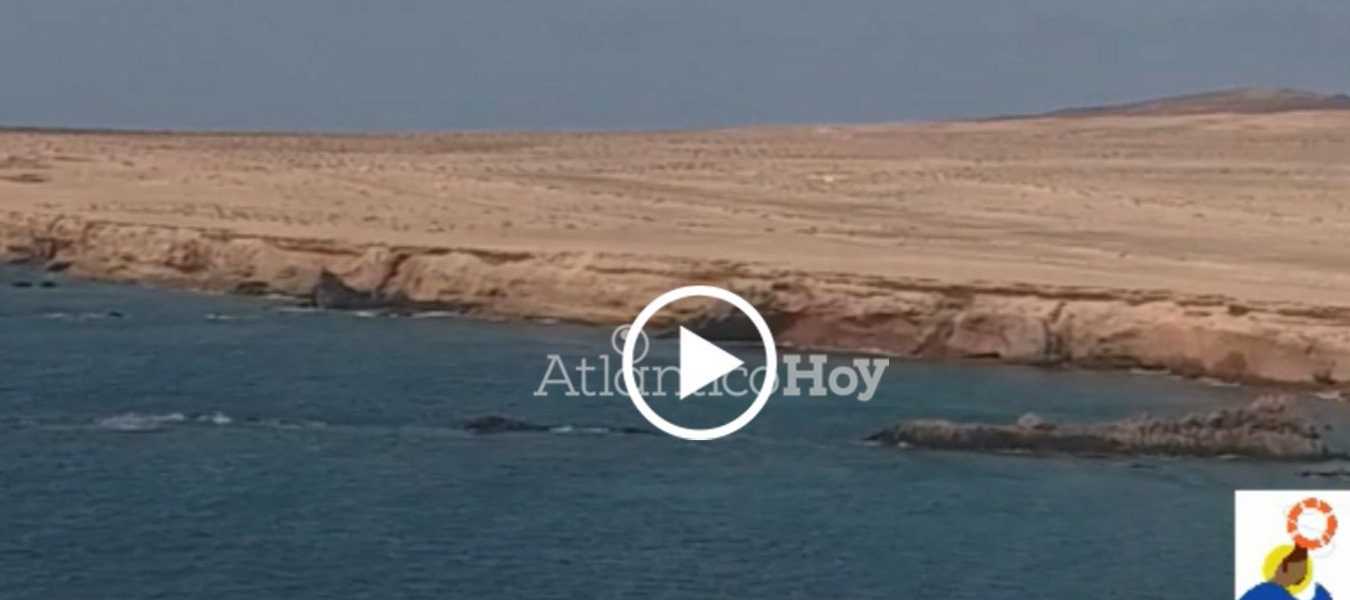 Featured Image 27765