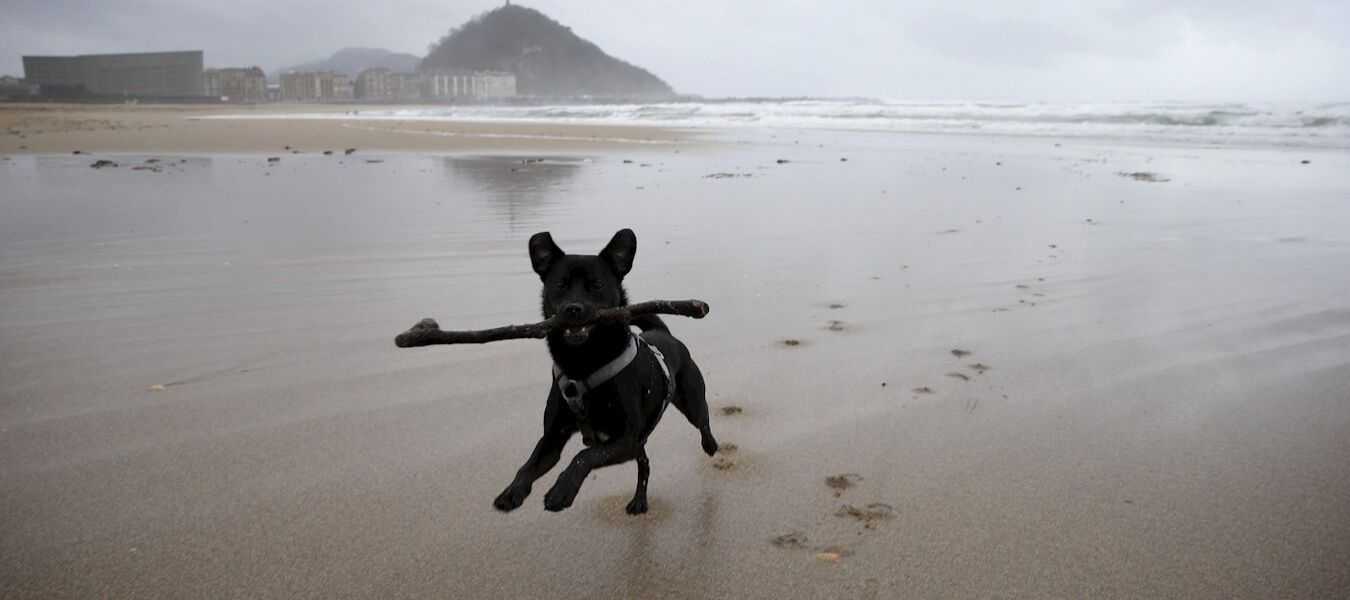 Featured Image 28273