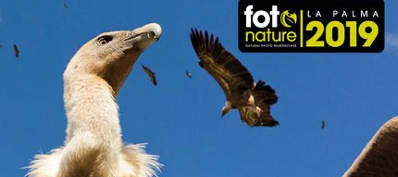 Featured Image 28501