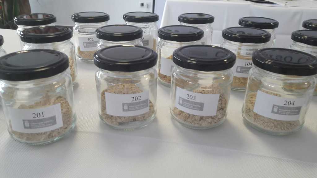 Featured Image 28577