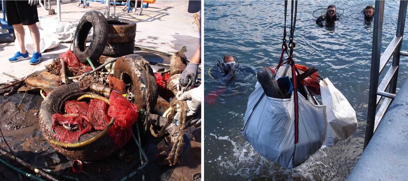 Featured Image 28841