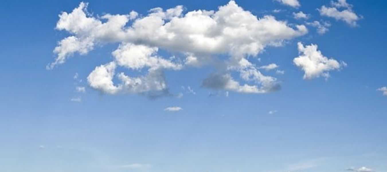 Featured Image 28889