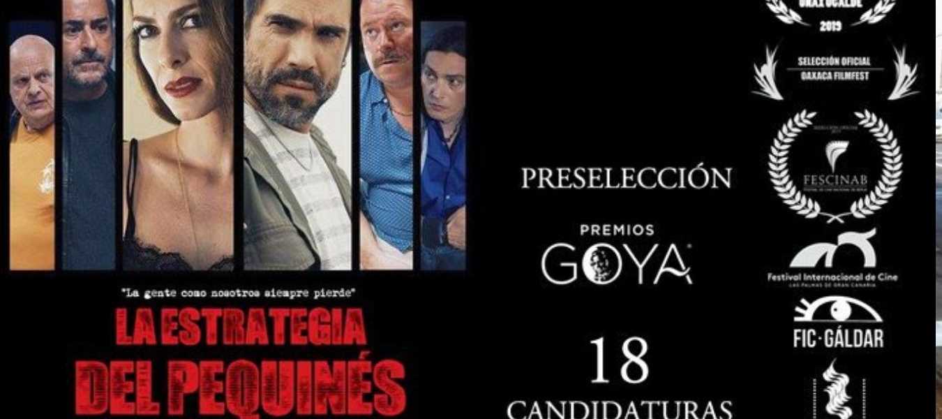 Featured Image 29053