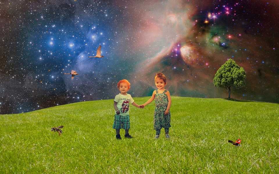 Featured Image 29165