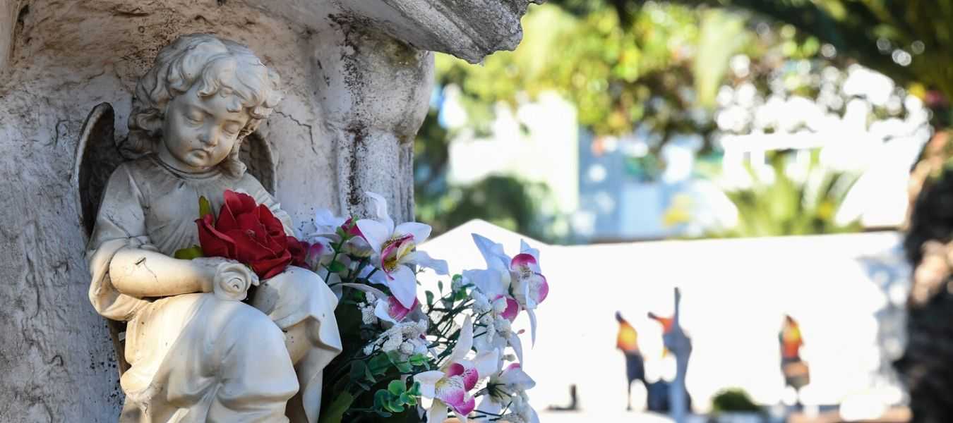 Featured Image 29179