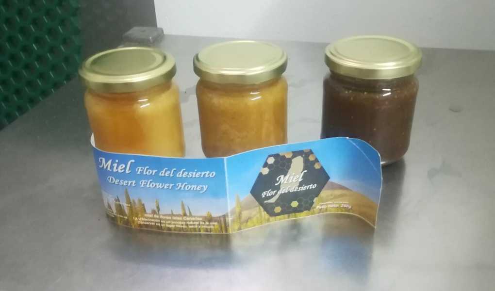 Featured Image 29453