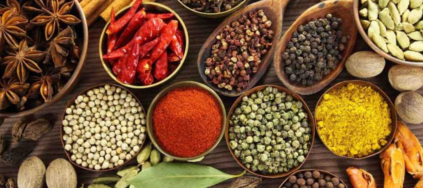 Featured Image 29569